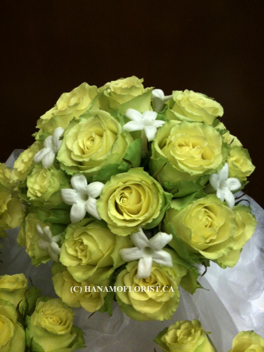 WEDB818 'Limbo' Roses & Stephanotis (Madagascar Jasmin) Bouquet